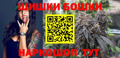 хмурый Бийск