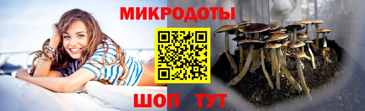Псилоцибиновые грибы Psilocybine cubensis  Вход с VPN  Керчь  Псилоцибиновые грибы ЛСД 